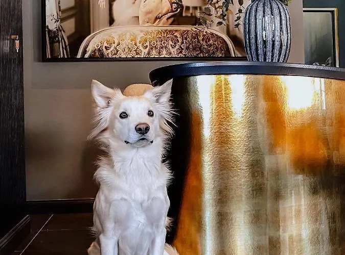 מלון Atlantic - Kopf Aus, Herz An! 3*